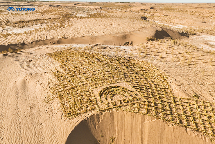 Компания Yutong Bus объявляет о важной вехе для инициативы Net Zero Forest в День Земли 2025 года: одно высаживаемое дерево на каждый вводимый в эксплуатацию автобус&nbsp;