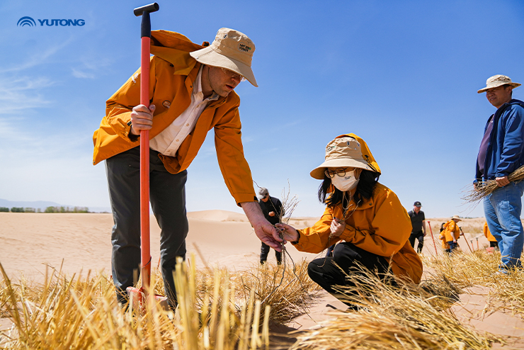 Компания Yutong Bus объявляет о важной вехе для инициативы Net Zero Forest в День Земли 2025 года: одно высаживаемое дерево на каждый вводимый в эксплуатацию автобус&nbsp;