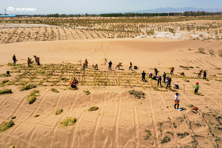 Why Does Yutong Initiate Net Zero Forest? Why Does Yutong Initiate Net Zero Forest?