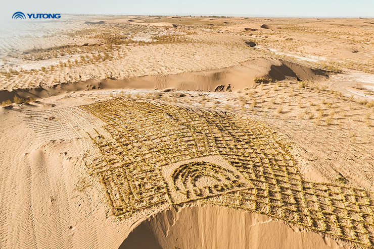 Why Does Yutong Initiate Net Zero Forest? Why Does Yutong Initiate Net Zero Forest?